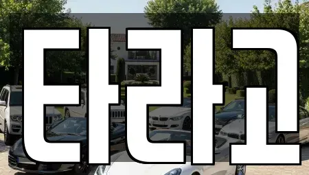 세종 집현동 렌트카 전문 타라고