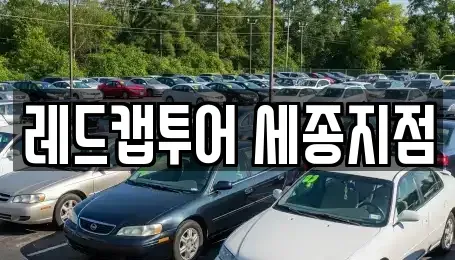 세종특별자치시 나성동 장기렌트카 전문 레드캡투어 세종지점