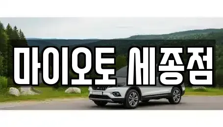 세종특별자치시 나성동 장기렌트카 전문 마이오토 세종점
