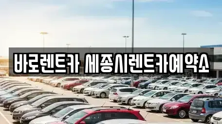 세종특별자치시 나성동 장기렌트카 전문 바로렌트카 세종시렌트카예약소