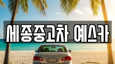 세종특별자치시 나성동 중고차 전문 세종중고차 예스카