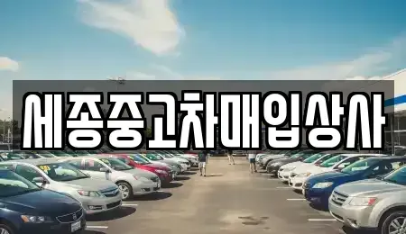세종특별자치시 나성동 중고차 전문 세종중고차매입상사