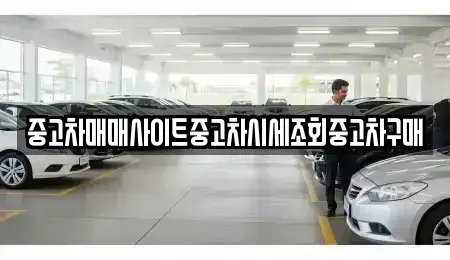 세종특별자치시 나성동 중고차 전문 중고차매매사이트중고차시세조회중고차구매