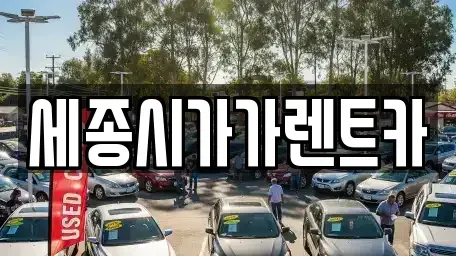 세종특별자치시 다정동 렌트카 전문 세종시가가렌트카