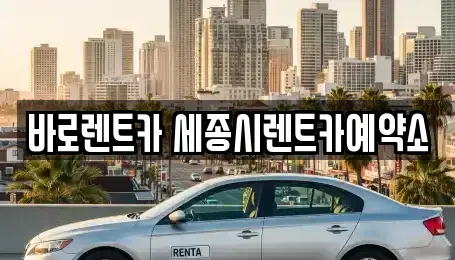 세종특별자치시 다정동 장기렌트카 전문 바로렌트카 세종시렌트카예약소