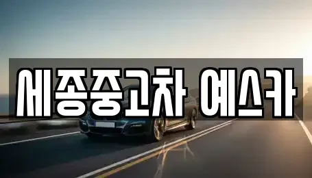 세종특별자치시 다정동 중고차 전문 세종중고차 예스카