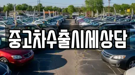 세종특별자치시 다정동 중고차 전문 중고차수출시세상담