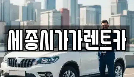 세종특별자치시 아름동 단기렌트카 전문 세종시가가렌트카