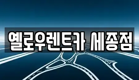 세종특별자치시 아름동 렌트카 전문 옐로우렌트카 세종점
