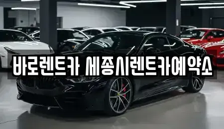 세종특별자치시 아름동 장기렌트카 전문 바로렌트카 세종시렌트카예약소