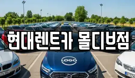 세종특별자치시 아름동 장기렌트카 전문 현대렌트카 몰디브점