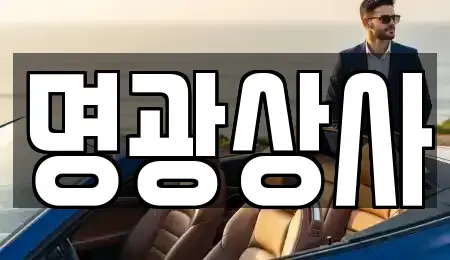 세종특별자치시 아름동 중고차매매,단기렌트카,중고차매입,장기렌트카,중고차,렌트카