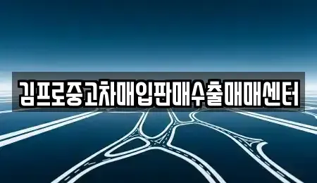 세종특별자치시 아름동 중고차매입 전문 김프로중고차매입판매수출매매센터