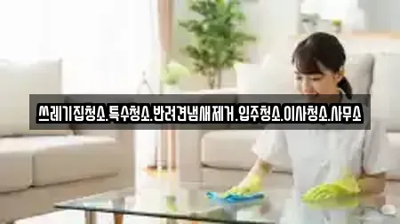 쓰레기집청소.특수청소.반려견냄새제거.입주청소.이사청소.사무소