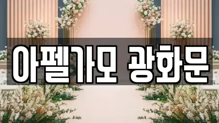 아펠가모 광화문