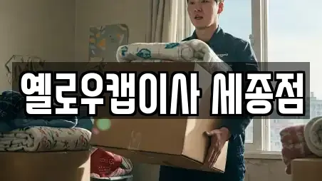 세종특별자치시 연서면 포장이사 요금 12