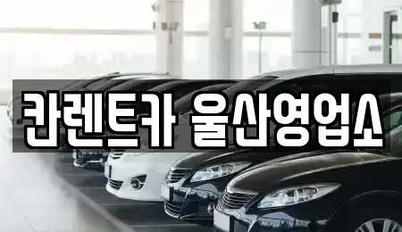 울산 남구 신정동 렌트카 전문 칸렌트카 울산영업소