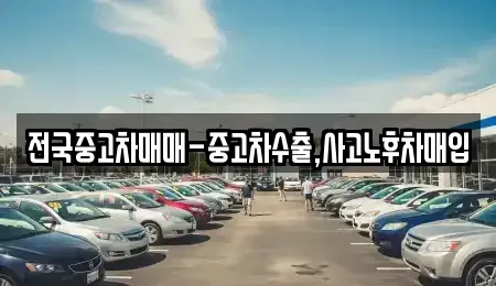울산 남구 신정동 중고차매매 전문 전국중고차매매-중고차수출,사고노후차매입