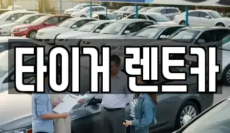 울산광역시 남구 여천동 렌트카 전문 타이거 렌트카