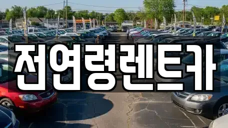 울산광역시 남구 여천동 장기렌트카 전문 전연령렌트카