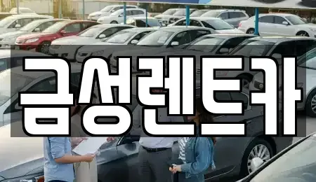 울산광역시 남구 옥동 렌트카 전문 금성렌트카