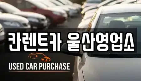 울산광역시 남구 옥동 렌트카 전문 칸렌트카 울산영업소