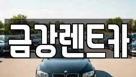 울산광역시 북구 효문동 렌트카 전문 금강렌트카