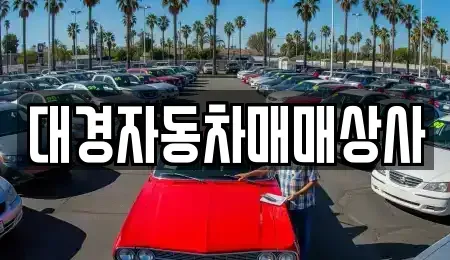 울산광역시 북구 효문동 중고차매매 전문 대경자동차매매상사