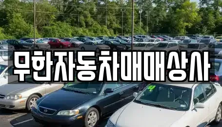 울산광역시 북구 효문동 중고차매매 전문 무한자동차매매상사