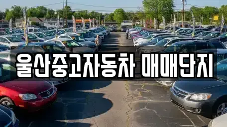 울산광역시 북구 효문동 중고차매매 전문 울산중고자동차 매매단지
