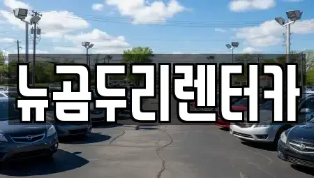 울산광역시 울주군 언양읍 렌트카 전문 뉴곰두리렌터카