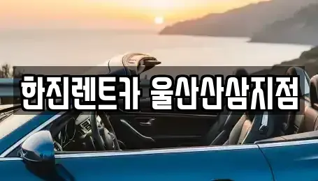 울산광역시 울주군 언양읍 렌트카 전문 한진렌트카 울산산삼지점