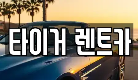 울산광역시 울주군 청량읍 렌트카 전문 타이거 렌트카