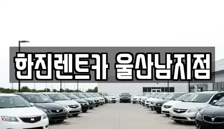 울산광역시 울주군 청량읍 장기렌트카 전문 한진렌트카 울산남지점