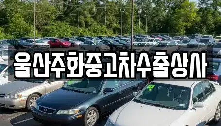 울산광역시 울주군 청량읍 중고차 전문 울산주화중고차수출상사