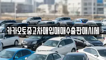 인천 강화군 양도면 중고차매입 전문 카카오토중고차매입매매수출판매시세