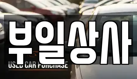 인천 강화군 중고차 전문 부일상사