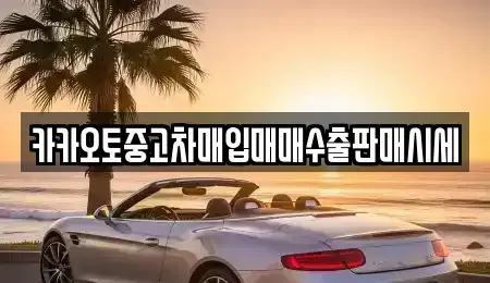 인천 강화군 중고차매입 전문 카카오토중고차매입매매수출판매시세