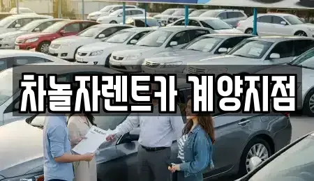 인천 계양구 용종동 단기렌트카 전문 차놀자렌트카 계양지점