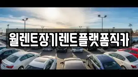 인천 계양구 장기렌트카 전문 월렌트장기렌트플랫폼직카