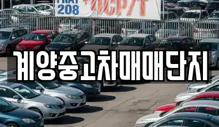 인천 계양구 중고차매매,단기렌트카,중고차매입,장기렌트카,중고차,렌트카