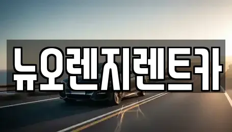 인천 서구 대곡동 렌트카 전문 뉴오렌지렌트카