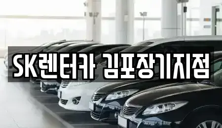 인천 서구 대곡동 장기렌트카 전문 SK렌터카 김포장기지점