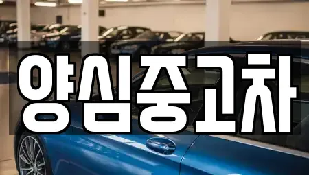 인천 서구 대곡동 중고차매매 전문 양심중고차