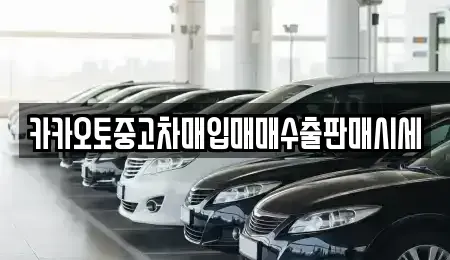 인천광역시 계양구 목상동 중고차매입 전문 카카오토중고차매입매매수출판매시세