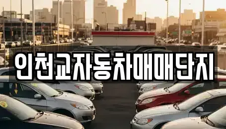 인천광역시 동구 중고차 전문 인천교자동차매매단지