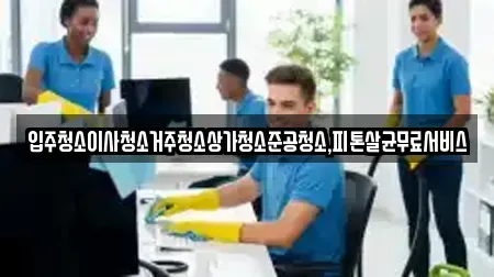 입주청소이사청소거주청소상가청소준공청소,피톤살균무료서비스
