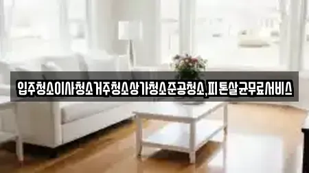 입주청소이사청소거주청소상가청소준공청소,피톤살균무료서비스