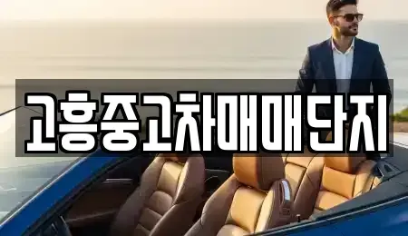 전남 고흥군 풍양면 중고차매매 전문 고흥중고차매매단지