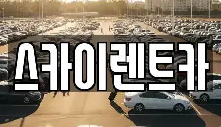 전남 광양시 성황동 렌트카 전문 스카이렌트카